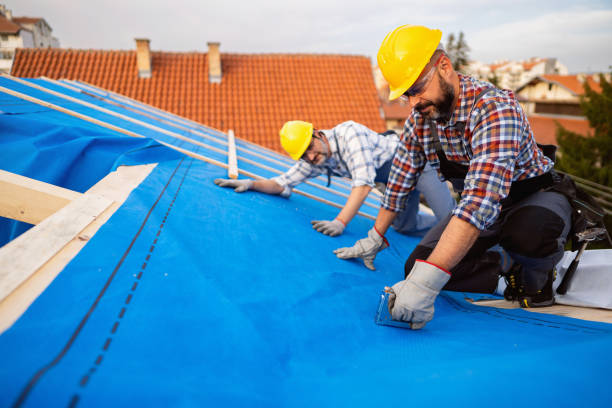 Best Roof Gutter Cleaning  in Everett, PA